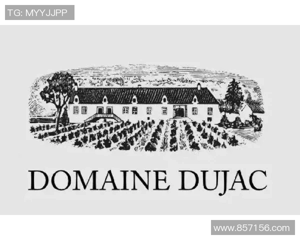 德国足球明星的璀璨星空与他们的传奇故事解析